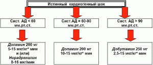 Принципы медикаментозной терапии при истинном кардиогенном шоке