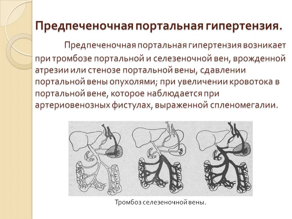 Эссенциальная Артериальная Гипертензия Реферат